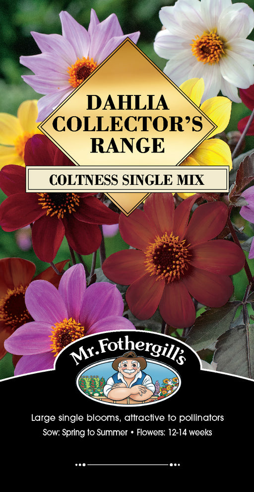 Seed  - Dahlia Coltness Single Mix - LIMITED EDITION