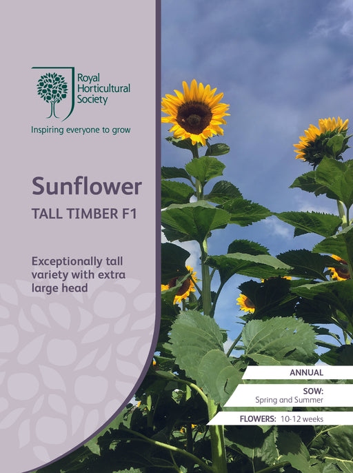 Seed  - Sunflower Tall Timber F1