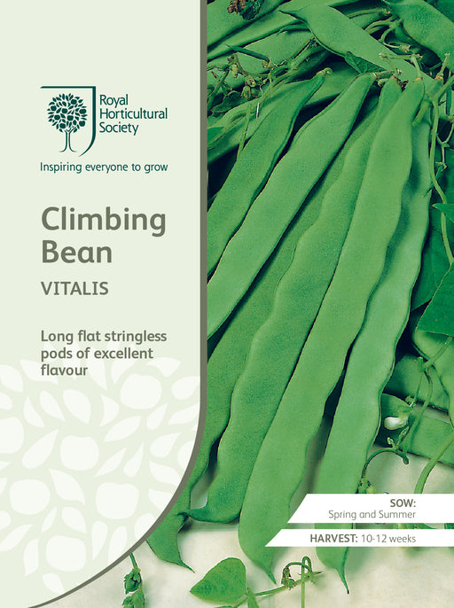 Seed - Climbing Bean Vitalis