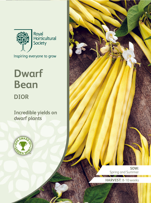 Seed - Dwarf Bean Dior