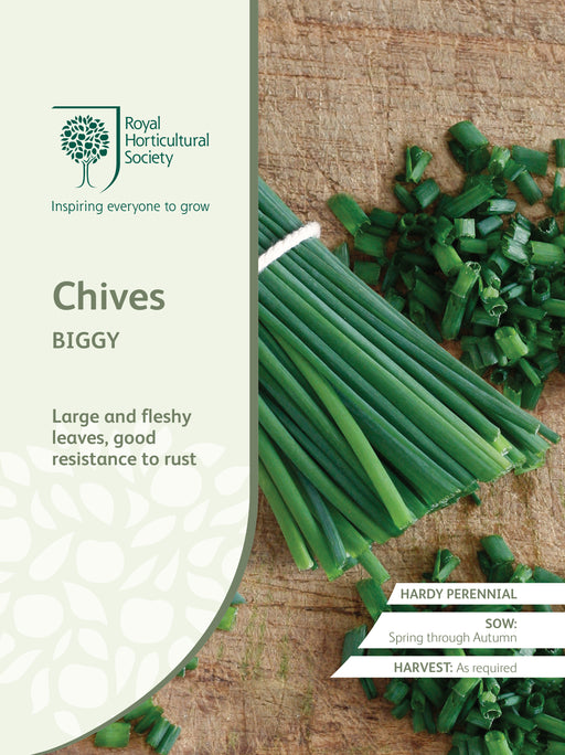 Seed - Chives Biggy