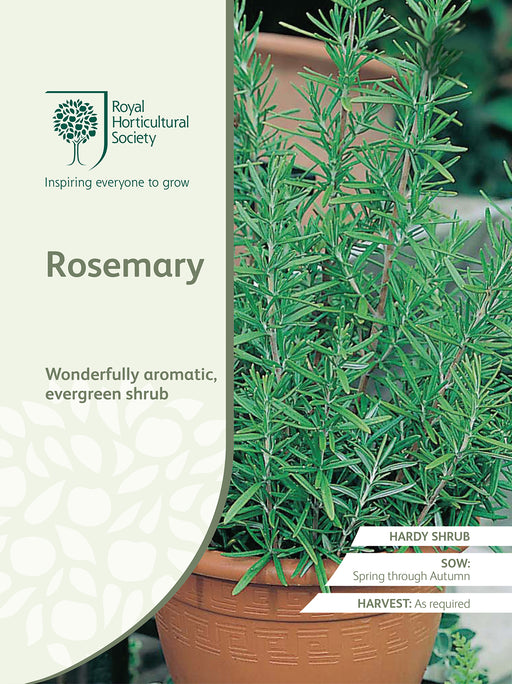 Seed - Rosemary