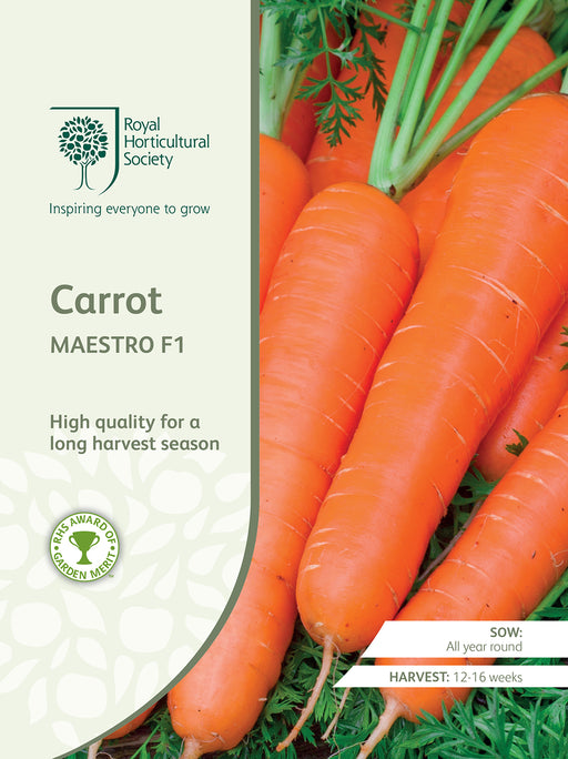 Seed - Carrot Maestro F1