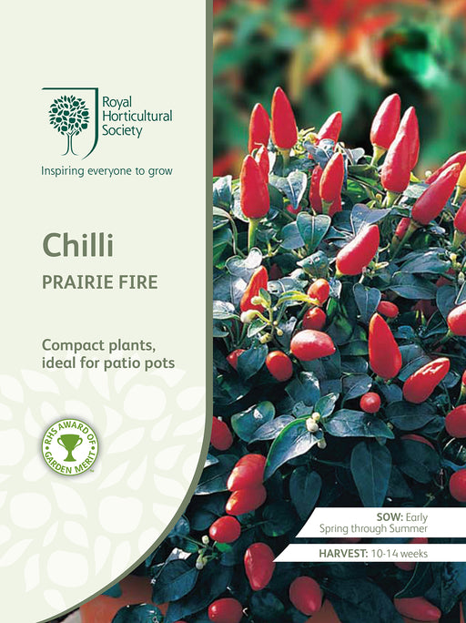 Seed - Chilli Prairie Fire