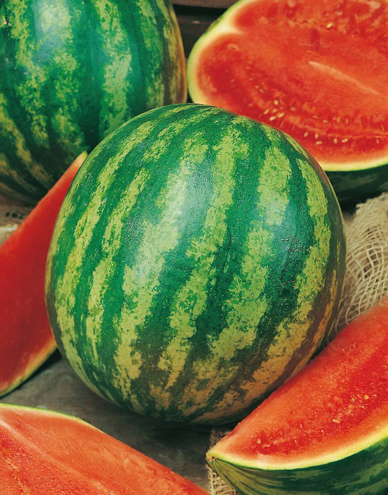 Seed - Watermelon Super Sweet