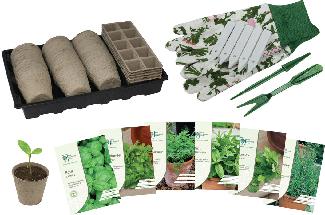 Herb Seeds Starter Kit