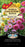 Seed  - Dahlia Bedding Mix - LIMITED EDITION