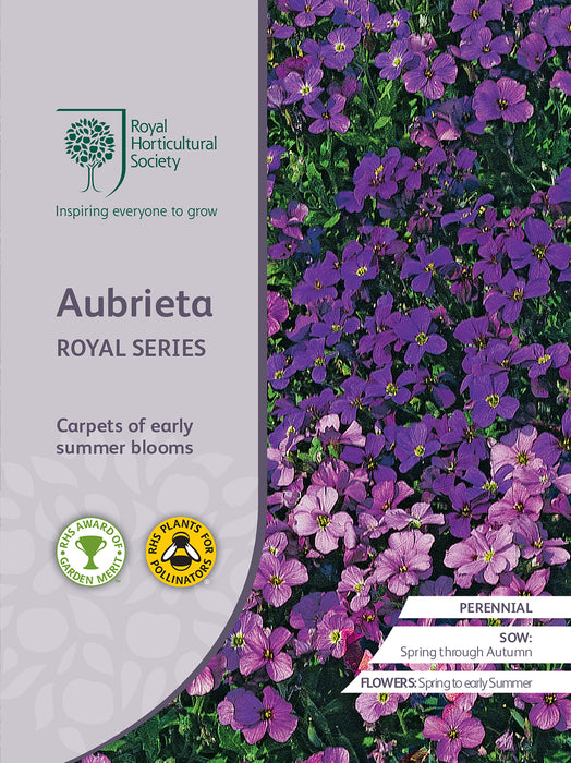 Seed  - Aubrieta Royal Series
