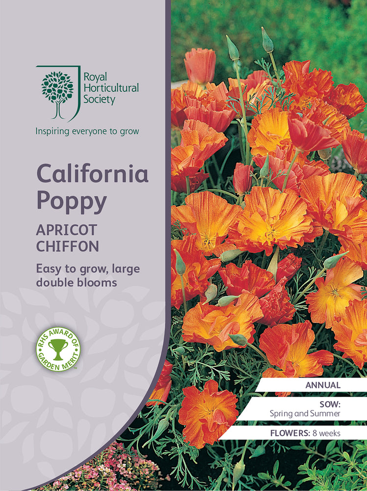Seed  - California Poppy Apricot Chiffon