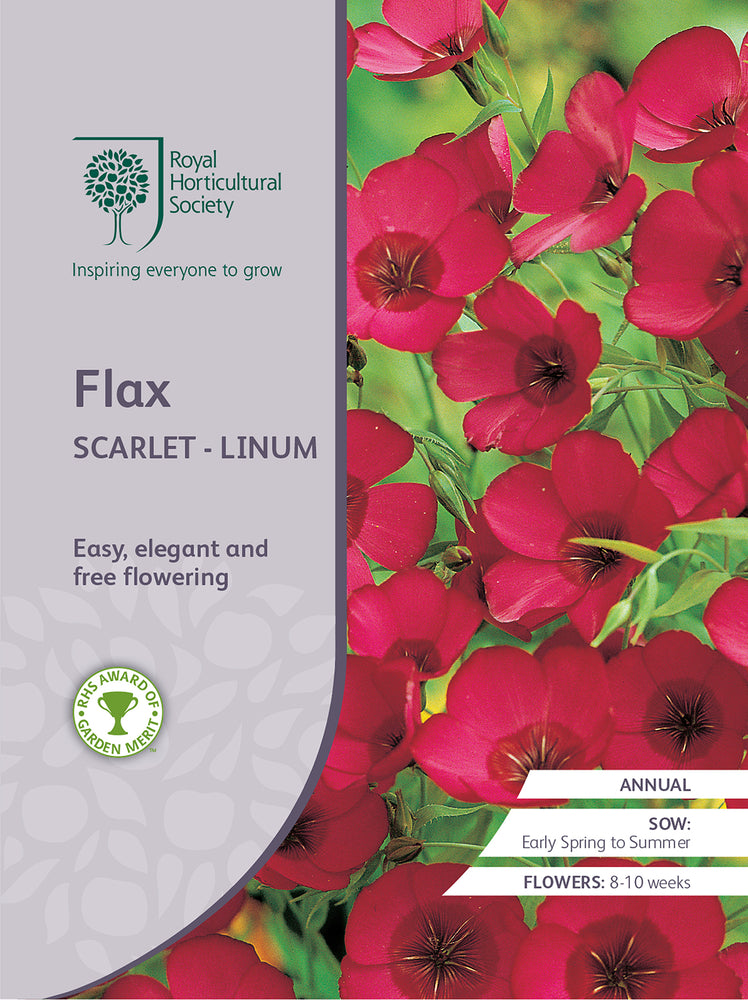 Seed  - Flax Scarlet - Linum