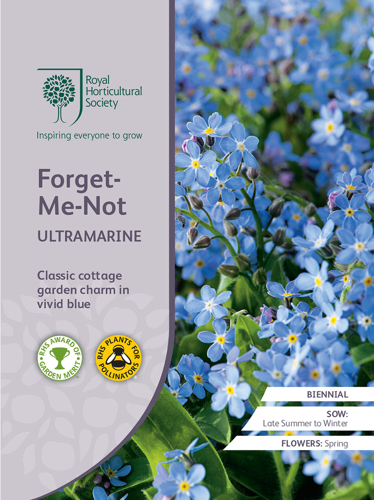 Seed  - Forget-Me-Not Ultramarine