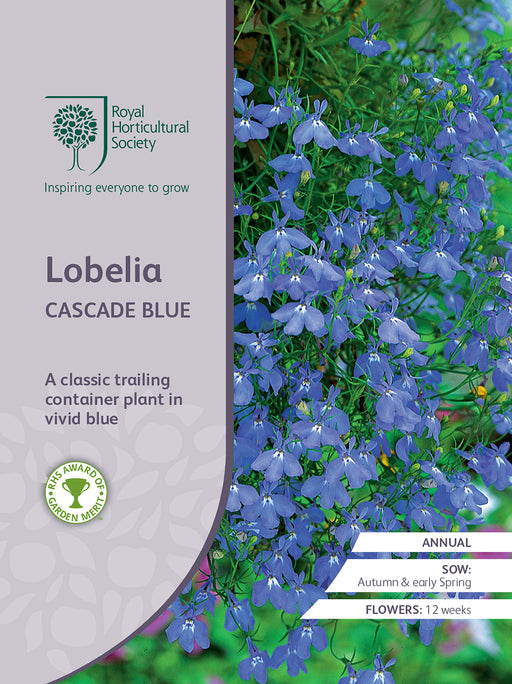 Seed  - Lobelia Cascade Blue