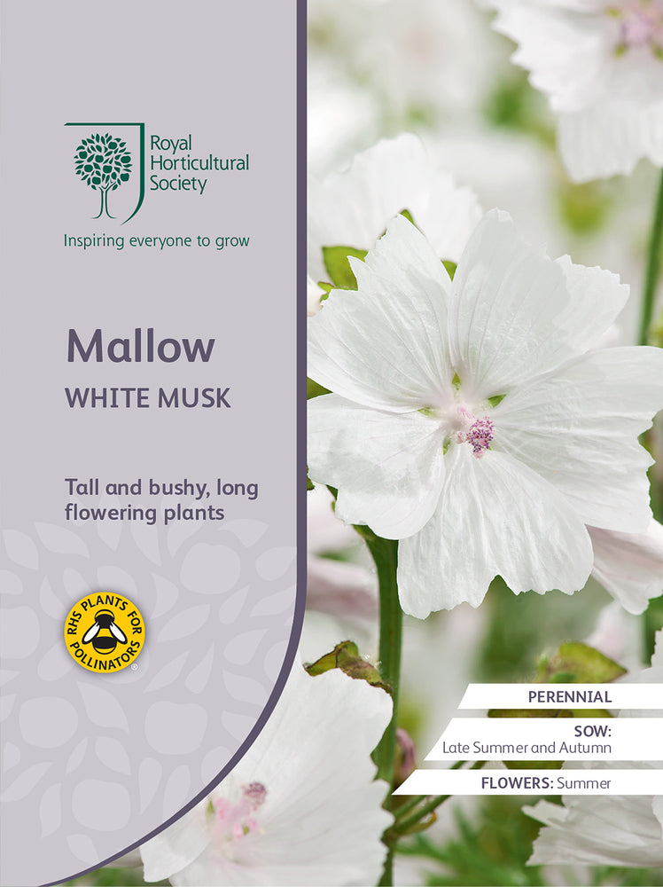 Seed  - Mallow White Musk