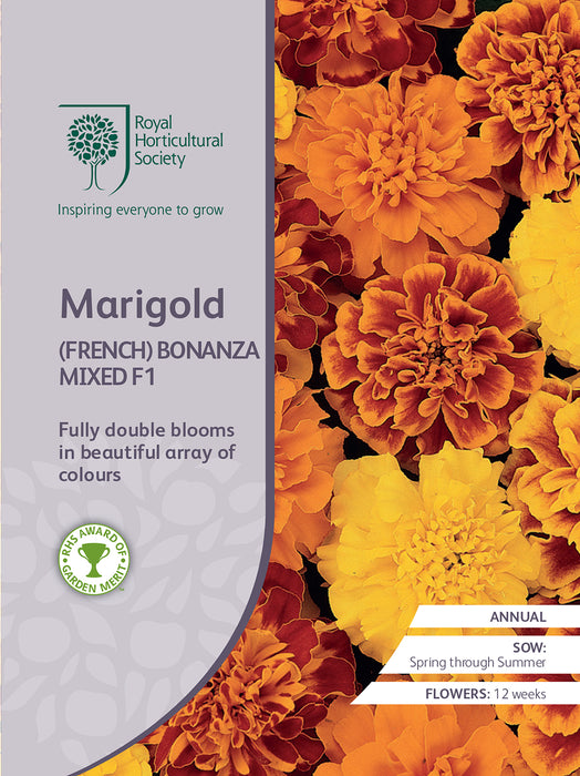 Seed  - Marigold (French) Bonanza F1 Mixed