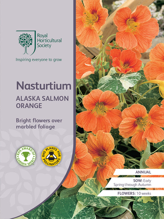 Seed  - Nasturtium Alaska Salmon Orange