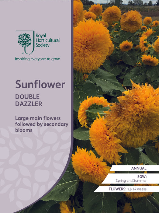 Seed  - Sunflower Double Dazzler