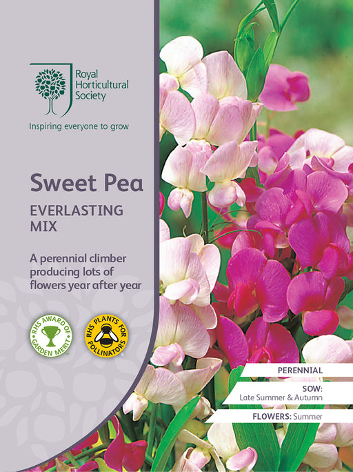 Seed  - Sweet Pea Everlasting Mix