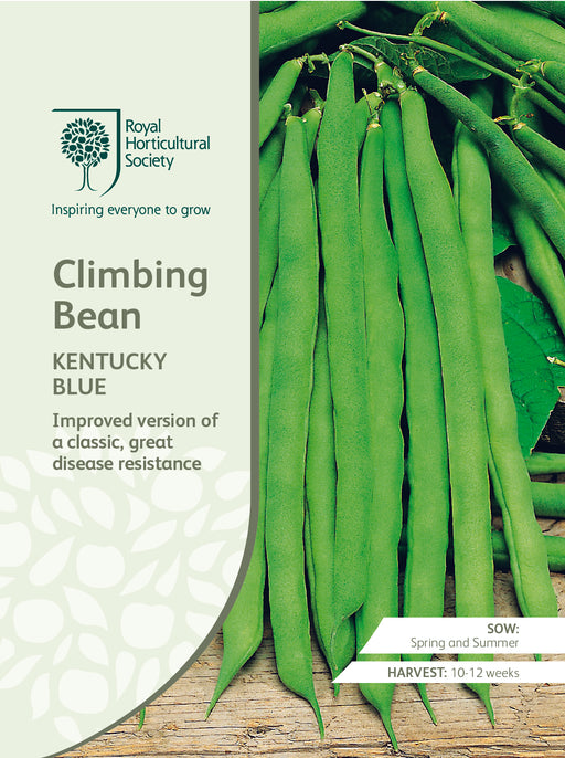 Seed - Climbing Bean Kentucky Blue