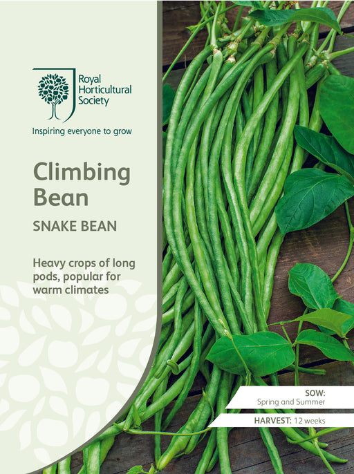 Seed - Snake Bean