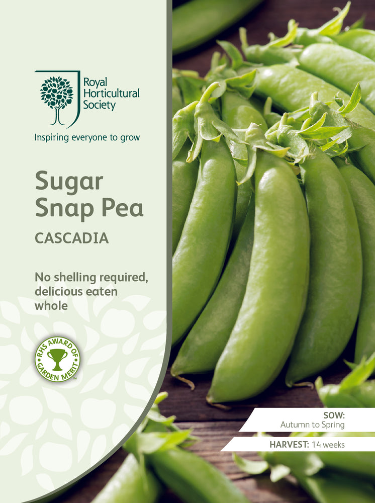 Seed - Sugar Snap Pea Cascadia