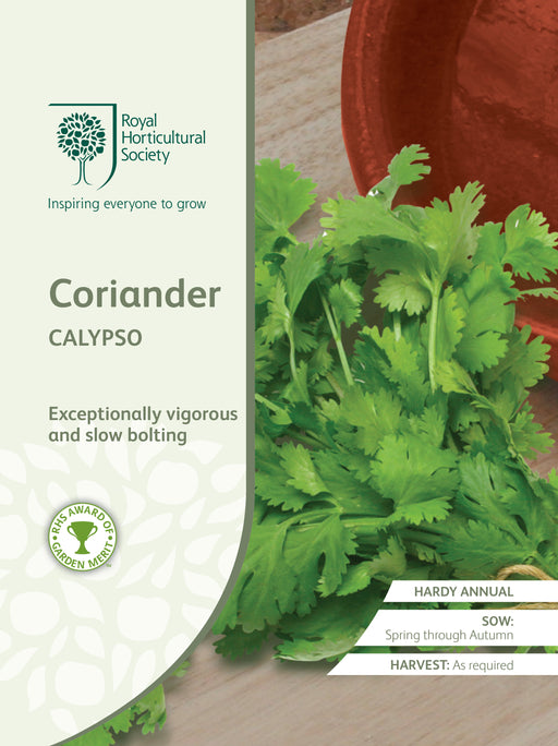 Seed - Coriander Calypso
