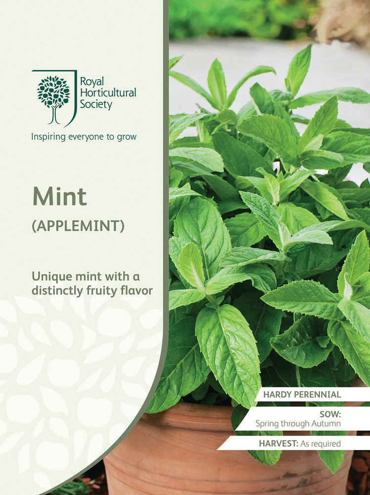 Seed -  Mint Applemint