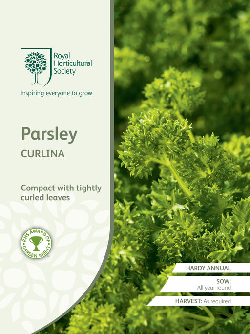 Seed - Parsley Curlina