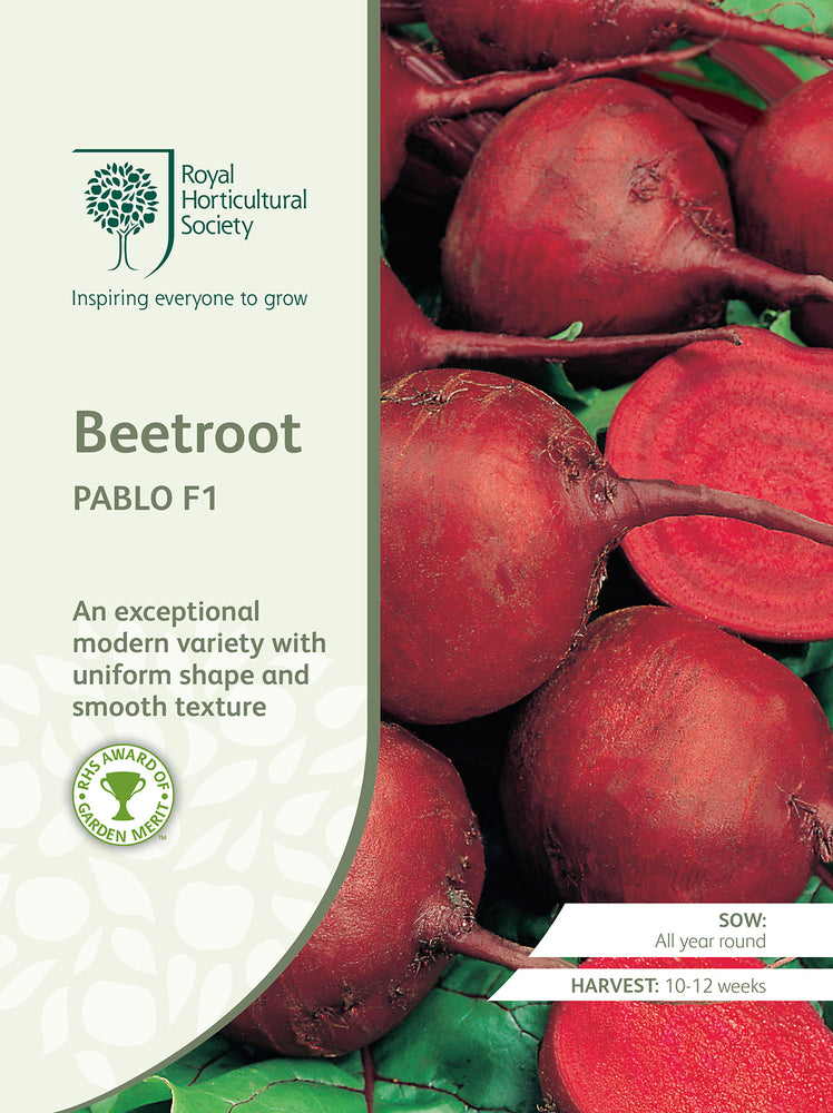 Seed - Beetroot Pablo F1