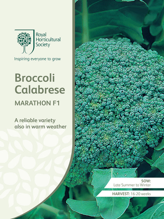 Seed - Broccoli Calabrese Marathon F1