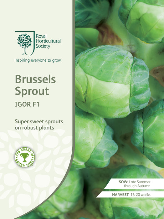 Seed - Brussels Sprout Igor F1