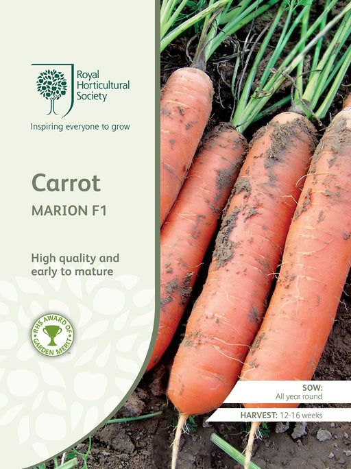 Seed - Carrot Marion F1