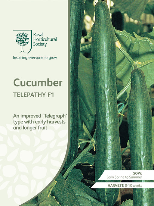 Seed - Cucumber Telepathy F1