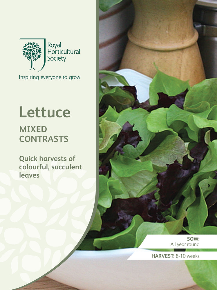Seed - Lettuce Mixed Contrasts