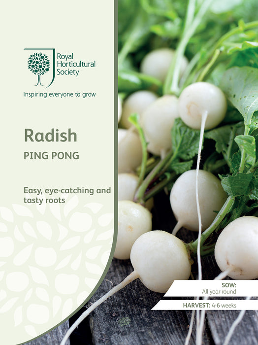 Seed - Radish Ping Pong