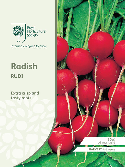 Seed - Radish Rudi