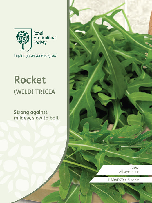 Seed - Rocket (Wild) Tricia