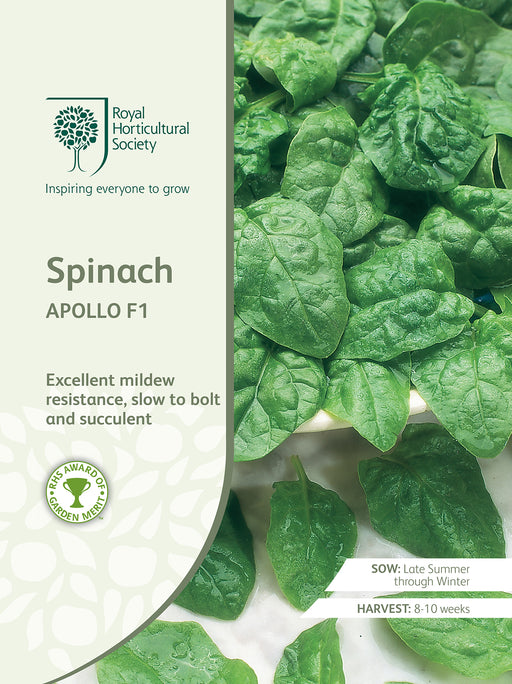 Seed - Spinach Apollo F1