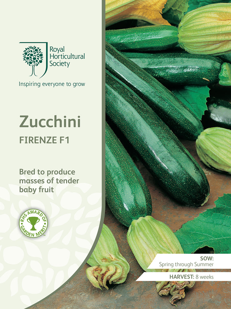Seed - Zucchini Firenze F1