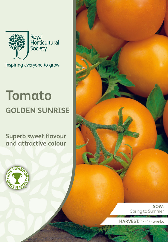 Seed - Tomato Golden Sunrise