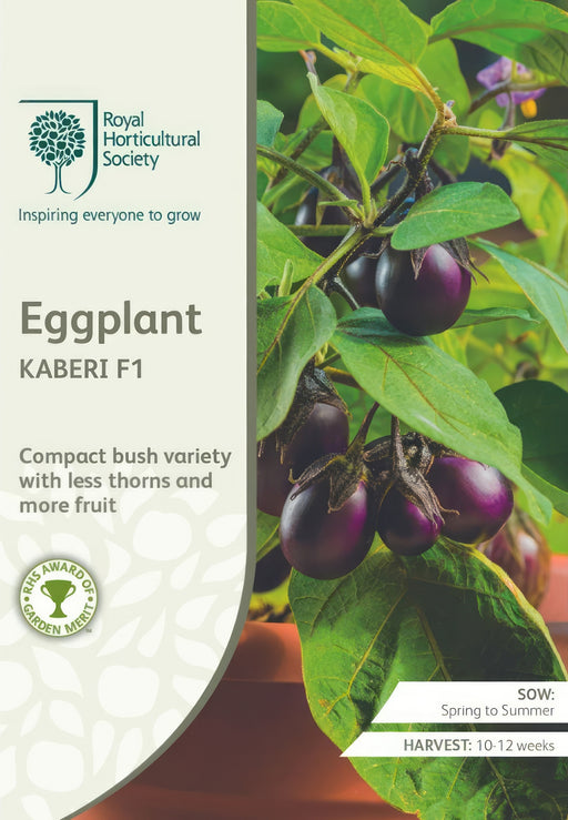 Seed - Eggplant Kaberi F1