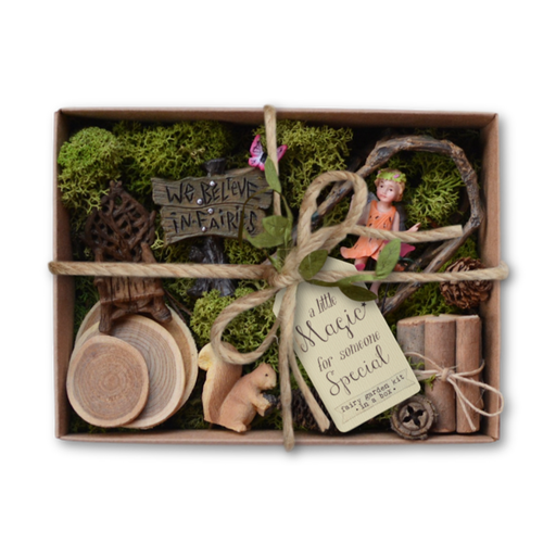 Fairy Garden Kit in a Box - We Believe