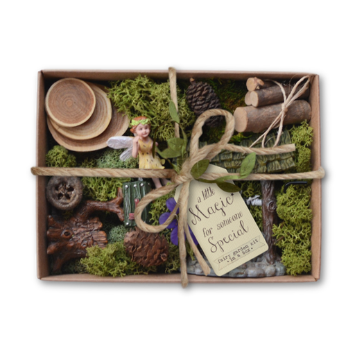 Fairy Garden Kit in a Box - Fairy Forest