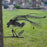 Lyrebird - Garden Art