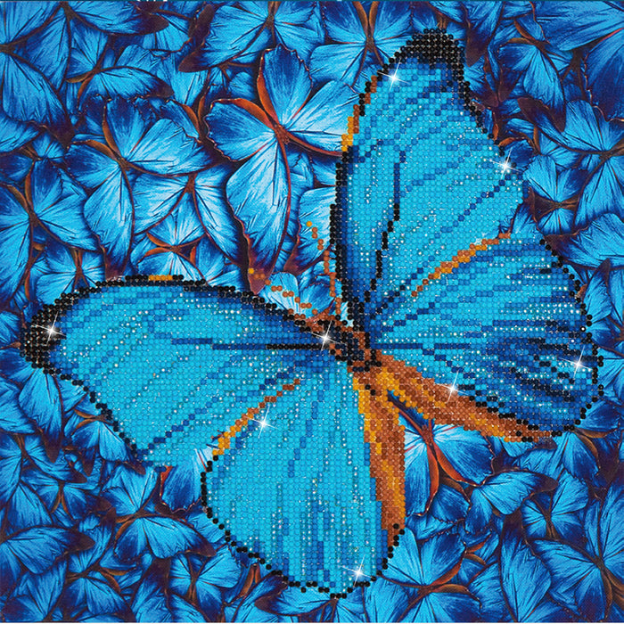 Diamond Dotz Flutter By Blue