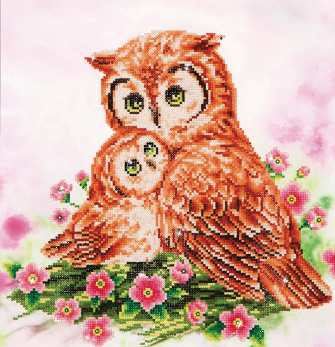 Diamond Dotz Mother And Baby Owl