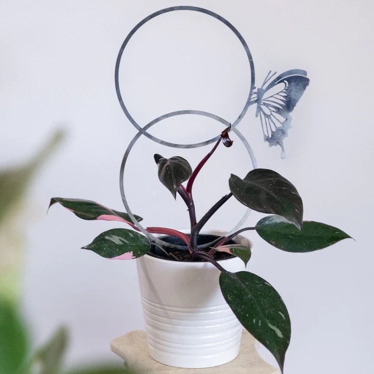 Trellis Butterfly - Garden Art