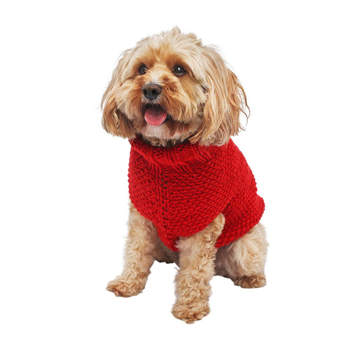 Dog with red doggie coat